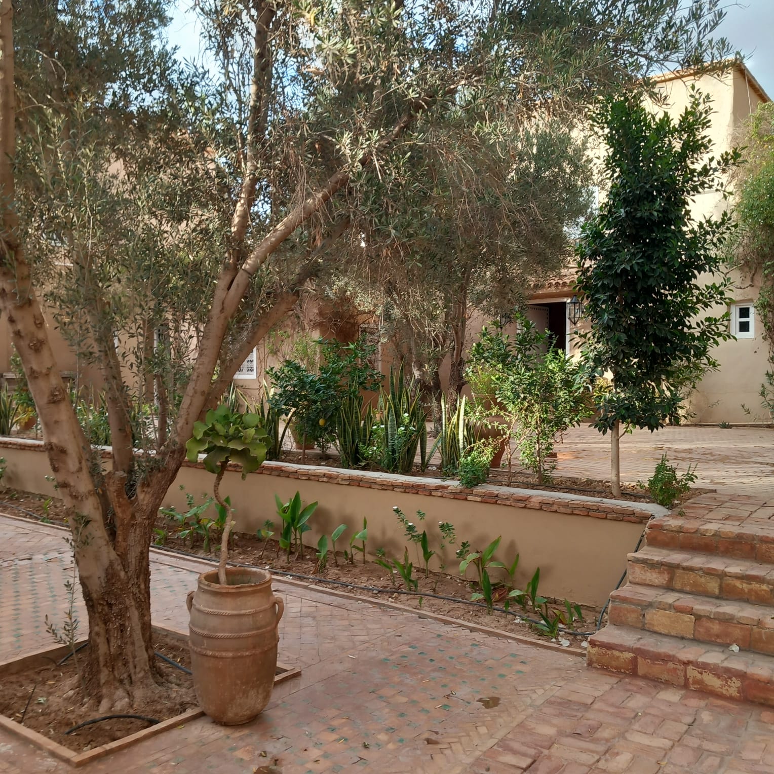 ksar village à Taroudannt